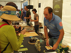 VIII Feria de la Trufa