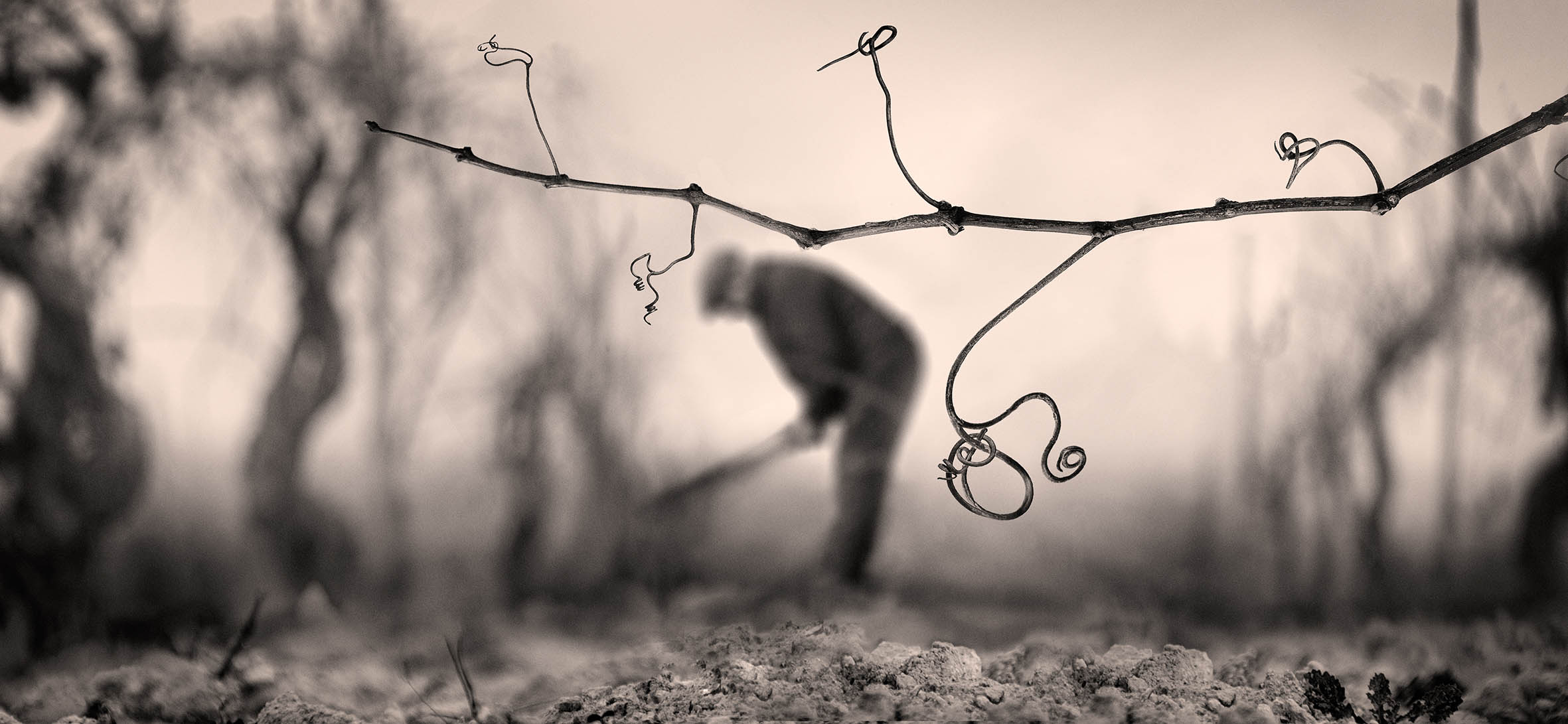 Tercer premio del XIX Concurso de Fotografía El Rioja y los 5 Sentidos Tercer premio del XIX Concurso de Fotografía El Rioja y los 5 Sentidos